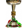 Italian Youth champion (Primavera) logo