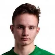 Rihards ozolins logo