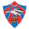 Valur KH Hlidarendi U19 logo