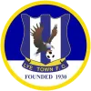 Lye Town Women logo