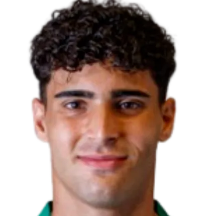 Afonso Lee Chang Albuquerque Machado logo