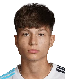 Esmir Bajraktarevic logo