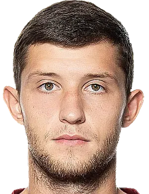 Nikolay Rybikov logo