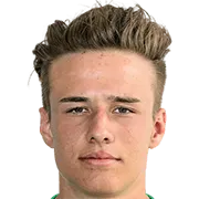 Dennis Verwuster logo