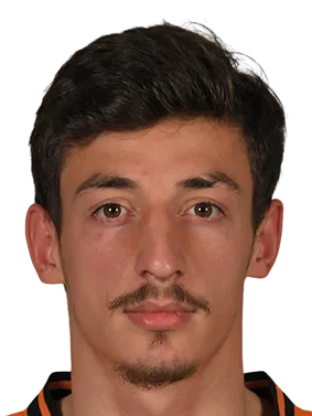 Giorgi Gocholeishvili logo