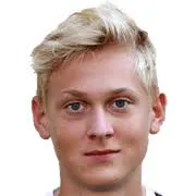 Niklas Geyrhofer logo