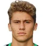 Stefano Piccinini logo