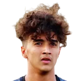 Amirreza Sheikhirad logo