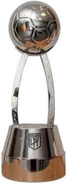 Winner Copa de la Liga Profesional logo