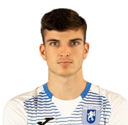 Valentin Mihăilă logo