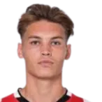 joel berg den van logo