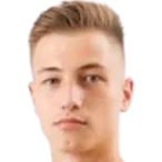 Dalibor Večerka logo