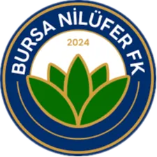 Bursa Nilüfer FK logo