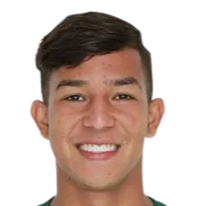 Pedro Henrique Pereira Viana logo