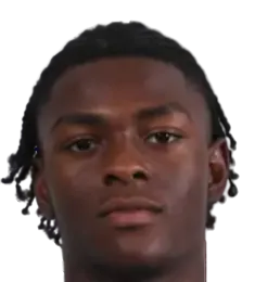 Donnell McNeilly logo