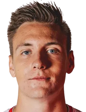 michal willmann logo