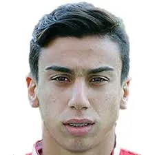 Daniel Wilmering logo