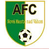 AFC Nove Mesto nad Vahom U19 logo