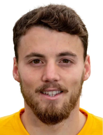 André Filipe Carneiro Leal logo