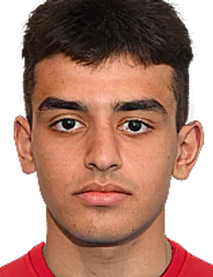 Ruslan Mamishov logo