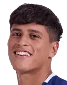 Valentín Dávila logo