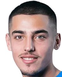 Alexandru nicola logo