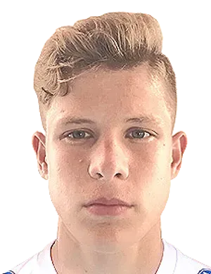 Valentin Paltsev logo