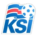 Iceland League Cup C photo 