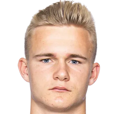 Daniel Strindholm photo