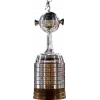 Copa Libertadores winner logo