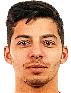 Nikolay Giorgobiani logo