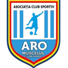 ARO Muscelul Campulung logo