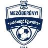 Mezoberenyi LE logo