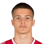 Damjan Dostanich logo