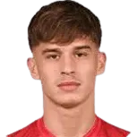 Bogdan·Mircetic logo