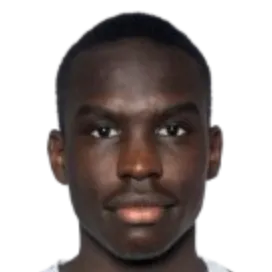 Godwill Fabio Ambrose photo 