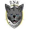ZNK Radomlje Women logo