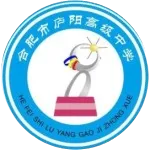 Hefei Luyang Senior High School U17 logo