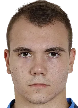 Stelian georgiev logo