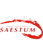 SV Saestum (w) logo