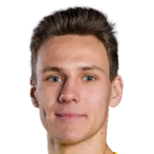 davis vejkrigers logo