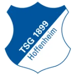 TSG Hoffenheim Youth logo