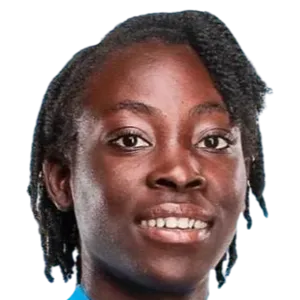 Shwendesky Joseph logo