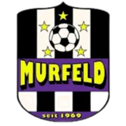 USV Murfeld Sud logo