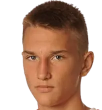 Veljko Jelenkovic logo