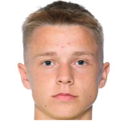 Albin Ahlstrand logo