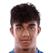 Dominic Vavassori logo