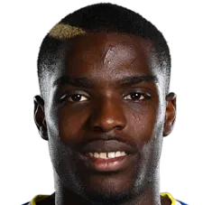 Niels Nkounkou photo 