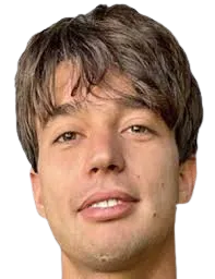 Ruggero Frosinini logo