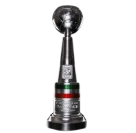 Italian Serie B champion logo